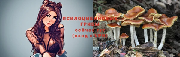 a pvp Костерёво