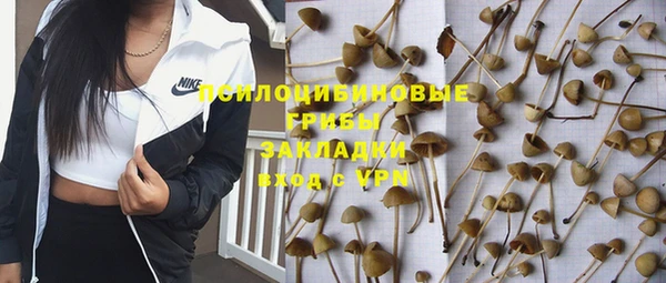a pvp Костерёво