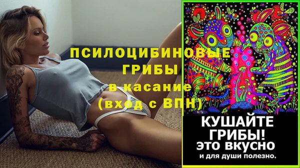 ALPHA PVP Козельск