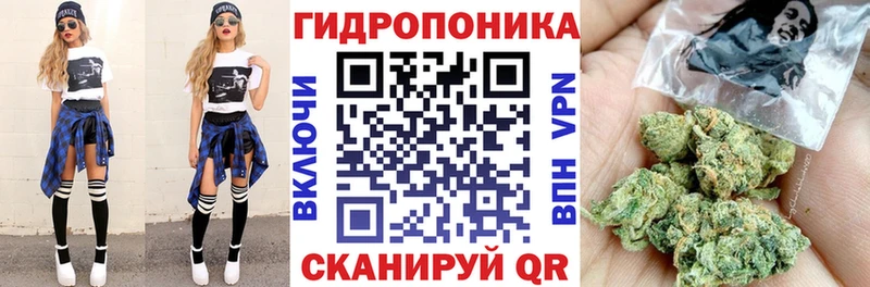 Бошки Шишки планчик  купить наркоту  Малоархангельск 